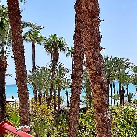 Centrico En 1ª Linea De Playa Con Piscina Y Garaje アパート トレビエハ