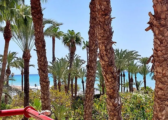 Centrico En 1ª Linea De Playa Con Piscina Y Garaje アパート トレビエハ